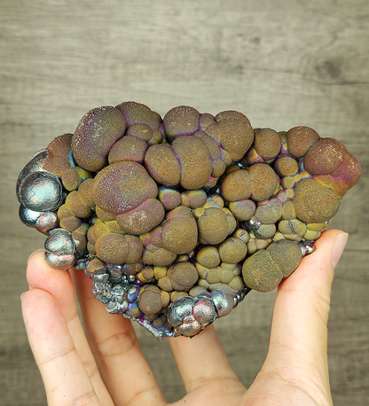 "HARUKA Giant Buddha Bead" Rainbow Double-Sided Specimen | Brown x Yellow x Silver | Elite Old Core Material | Status Stability & Wealth Manifestation | Natural Malaysian Leklai