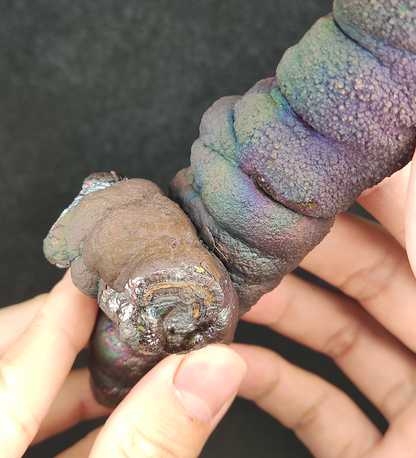 Collection Grade Buddha Pillar | 14.3cm Overlapping Cross Form | Ultimate Corporate Defense & Wealth Anchor | Natural Malaysian Leklai