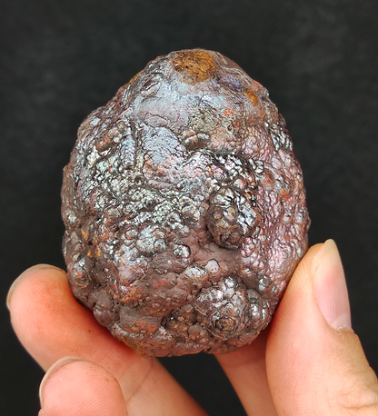 "Premium" Gold, Silver & Pink Gall Leklai | Solid & Rounded High-Energy "Core Gall" | King Series, High-Level Gold Transformation | Malaysia Leklai