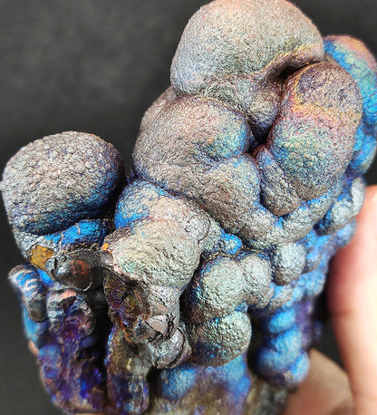 Collector's Grade "HARUKA Giant Buddha Bead" Emperor Blue Multi-Color Specimen | 5-Color Synergy | Elite Old Core Material | Universal Manifestation & Health Shield | Natural Malaysian Leklai