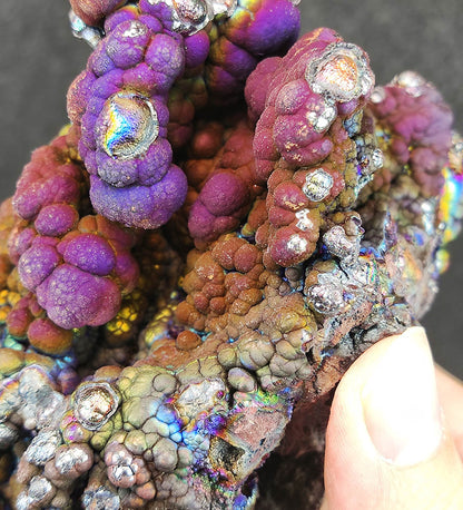 Collector's Grade "HARUKA Giant Buddha Bead" Mystic Purple-Gold Specimen | Purple x Gold x Silver x Green | Elite Old Core Material | Emotional Equilibrium & Universal Manifestation | Natural Malaysian Leklai