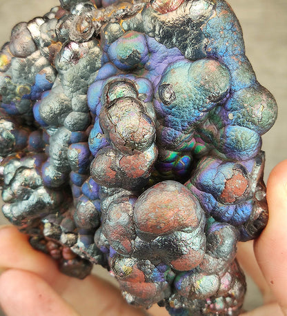 Top Grade "HARUKA Giant Buddha Bead" Royal Blue Rainbow Specimen | Royal Blue x Rainbow | Elite Old Core Material | Health Stabilization & Universal Manifestation | Natural Malaysian Leklai