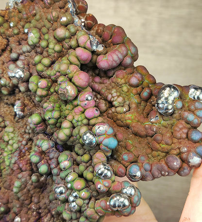 Top Grade "HARUKA Giant Buddha Bead" Wealth Pig Specimen | Pink x Green x Gold x Silver | Elite Old Core Material | Screen Protection & Wealth Attraction | Natural Malaysian Leklai