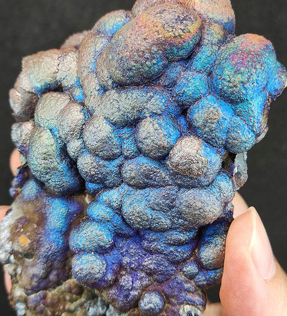 Collector's Grade "HARUKA Giant Buddha Bead" Emperor Blue Multi-Color Specimen | 5-Color Synergy | Elite Old Core Material | Universal Manifestation & Health Shield | Natural Malaysian Leklai