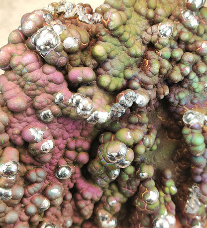 Top Grade "HARUKA Giant Buddha Bead" Wealth Pig Specimen | Pink x Green x Gold x Silver | Elite Old Core Material | Screen Protection & Wealth Attraction | Natural Malaysian Leklai