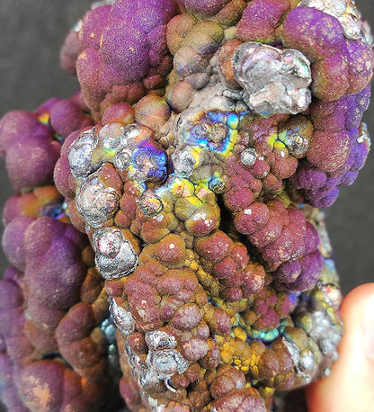 Collector's Grade "HARUKA Giant Buddha Bead" Mystic Purple-Gold Specimen | Purple x Gold x Silver x Green | Elite Old Core Material | Emotional Equilibrium & Universal Manifestation | Natural Malaysian Leklai