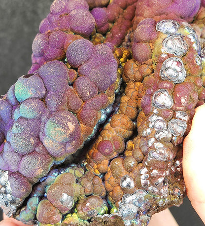 Collector's Grade "HARUKA Giant Buddha Bead" Mystic Purple-Gold Specimen | Purple x Gold x Silver x Green | Elite Old Core Material | Emotional Equilibrium & Universal Manifestation | Natural Malaysian Leklai