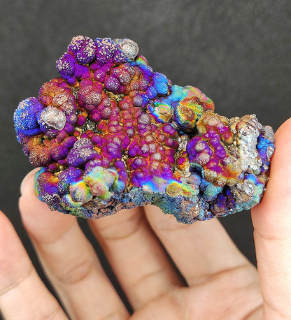 Collector's Grade "HARUKA Giant Buddha Bead" Mystic Purple-Blue Specimen | Deep Blue x Purple | Elite Old Core Material | Emotional Equilibrium & High-Frequency Shield | Natural Malaysian Leklai