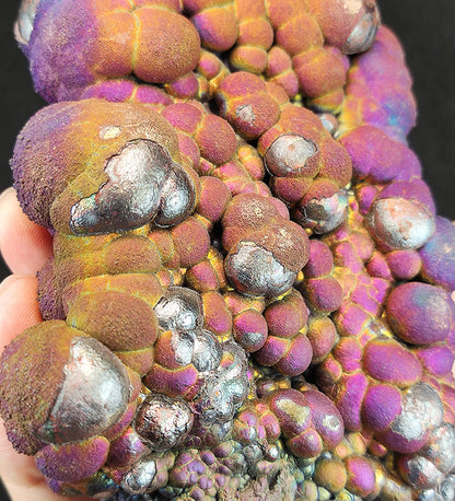 Collector's Grade "HARUKA Giant Buddha Bead" Mystic Red-Gold Specimen | Red x Gold | Elite Old Core Material | Peak Ambition & Wealth Manifestation | Natural Malaysian Leklai