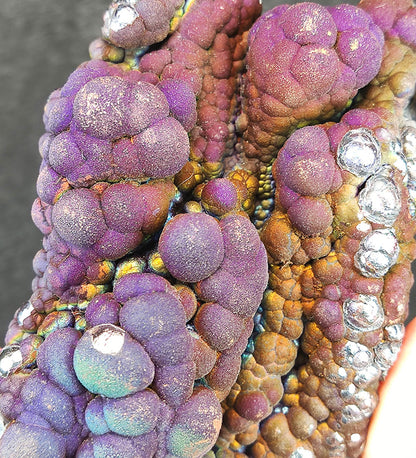 Collector's Grade "HARUKA Giant Buddha Bead" Mystic Purple-Gold Specimen | Purple x Gold x Silver x Green | Elite Old Core Material | Emotional Equilibrium & Universal Manifestation | Natural Malaysian Leklai