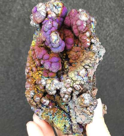 Collector's Grade "HARUKA Giant Buddha Bead" Mystic Purple-Gold Specimen | Purple x Gold x Silver x Green | Elite Old Core Material | Emotional Equilibrium & Universal Manifestation | Natural Malaysian Leklai