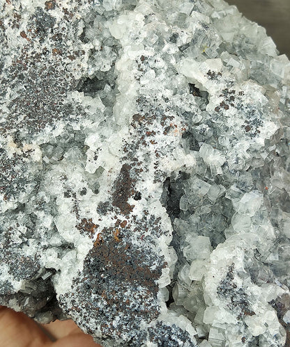[Collector's Grade] Giant Tooth Crystal Leklai | Fully Cluster-Born | Ancient Protection & Supreme Manifestation