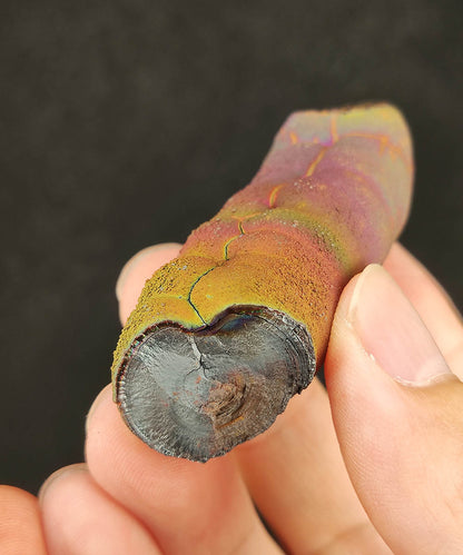 Malaysian Leklai Goethite Pillar | Rare "Rainbow Round Head" | Exquisite Pink Old Material | 5.4cm Energy Focal Point | Mentor Manifestation & Career Vitality