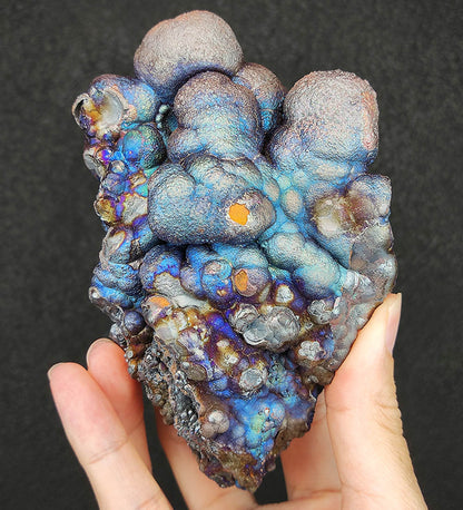 Collector's Grade "HARUKA Giant Buddha Bead" Emperor Blue Multi-Color Specimen | 5-Color Synergy | Elite Old Core Material | Universal Manifestation & Health Shield | Natural Malaysian Leklai