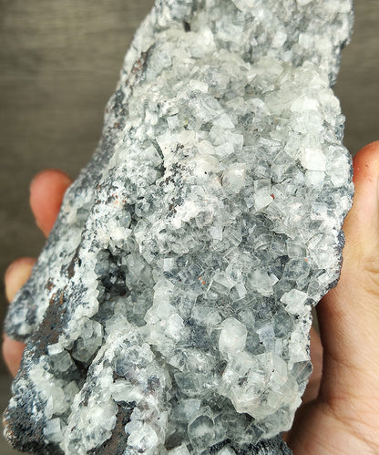 [Collector's Grade] Giant Tooth Crystal Leklai | Fully Cluster-Born | Ancient Protection & Supreme Manifestation