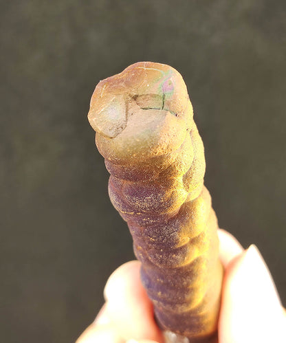 Malaysian Leklai Goethite Pillar | 8.8cm Rare Purple Old Material | Intact Round Head Energy | Strong Directional Wealth & Defense | Natural Living Stone