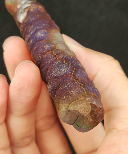 Malaysian Leklai Goethite Pillar | 8.8cm Rare Purple Old Material | Intact Round Head Energy | Strong Directional Wealth & Defense | Natural Living Stone
