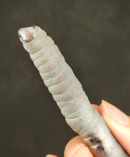 "Premier Selection" Rare All-Silver Big Buddha Pillar Core (9.6cm) | Pure Silver Manifestation x High Directional Energy | Absolute Protection & Strategic Breakthrough | Natural Malaysian Leklai