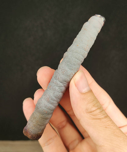 "Premier Selection" Rare All-Silver Big Buddha Pillar Core (9.6cm) | Pure Silver Manifestation x High Directional Energy | Absolute Protection & Strategic Breakthrough | Natural Malaysian Leklai
