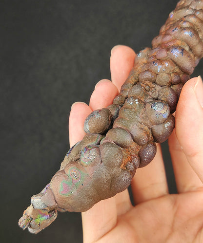 "Ultimate Collector Grade" Purple Aged Shell Big Buddha Twin Pillar (15cm) | Rare Ginseng Shape x Concentrated Core | Supreme Directional Authority | Natural Malaysian Leklai