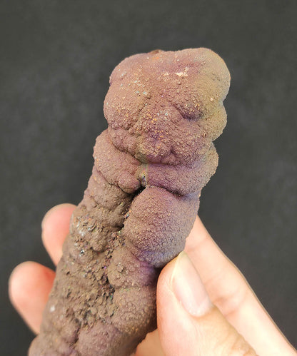 Premium Malaysia Natural Leklai Pillar 11.7cm | Aged Purple Shell | Wisdom Anchor & Career Guardian | Directional Wealth Manifestation