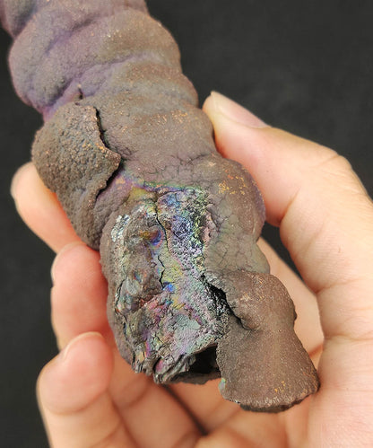 Premium Malaysia Natural Leklai Pillar 11.7cm | Aged Purple Shell | Wisdom Anchor & Career Guardian | Directional Wealth Manifestation