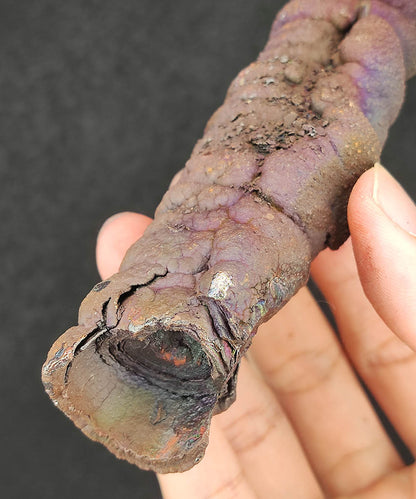Premium Malaysia Natural Leklai Pillar 11.7cm | Aged Purple Shell | Wisdom Anchor & Career Guardian | Directional Wealth Manifestation