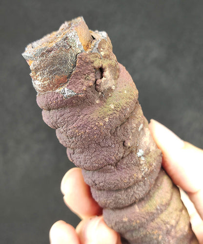 Premium Malaysia Natural Leklai Pillar 11.3cm | Heavyweight Authority Anchor | Directional Goal Manifestation | Wealth Defense & Field Purification