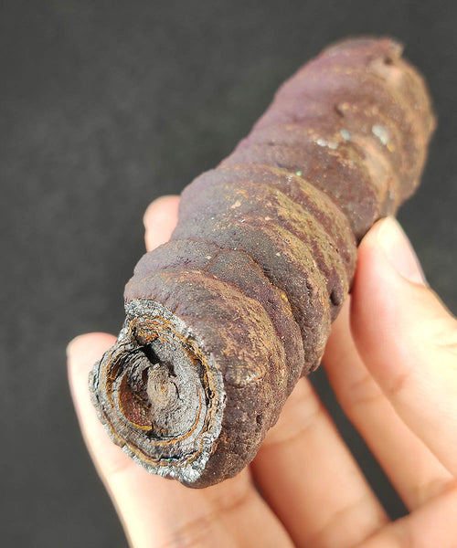 | 頂級 | 亞嚕家大佛柱 (11.3cm) | 粗身肥柱 | 能量高 - 指向性好 | 招財、癖邪、驅小人能量特別好 | 力泥活石 | 膽料 |