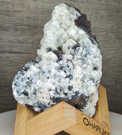 [Crystal Clarity] 10CM Big Tooth Crystal Leklai | Full Growth Specimen | Harmony of Strength & Softness | Spatial Energy Purifier