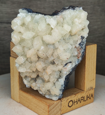 Natural Large-Tooth Crystal Leklai | Shield of Purity & Manifestation for Executive Success
