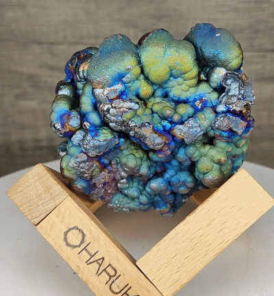 Aged Buddha Bead Leklai Display | Rare Sky Blue & Green Burst | Health Shield & Career Growth | Malaysia Natural Leklai