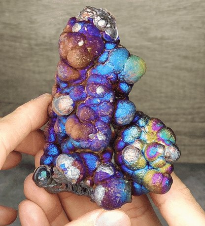 Ancient Big Buddha Leklai | Purple, Gold & Blue Aged Shell | Grand Protection & Sovereign Energy Core