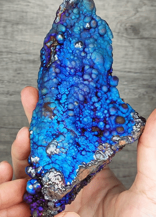 "Collection Grade" Fluorescent Bodhi Bead | Shark Fin Shape Energy Core | Blue, Purple &amp; Silver Manifestation | Health, Wisdom &amp; Status Anchor | Malaysia Natural Leklai