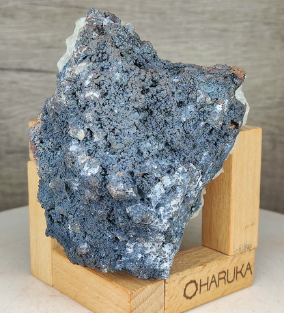 Natural Large-Tooth Crystal Leklai | Shield of Purity & Manifestation for Executive Success